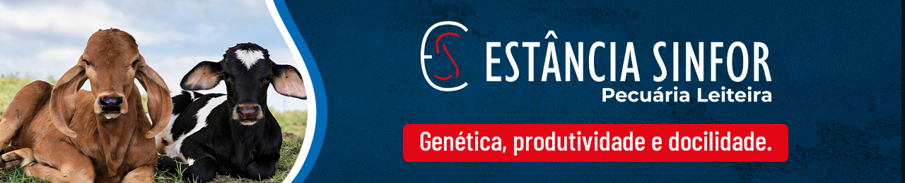 Banner publicitário