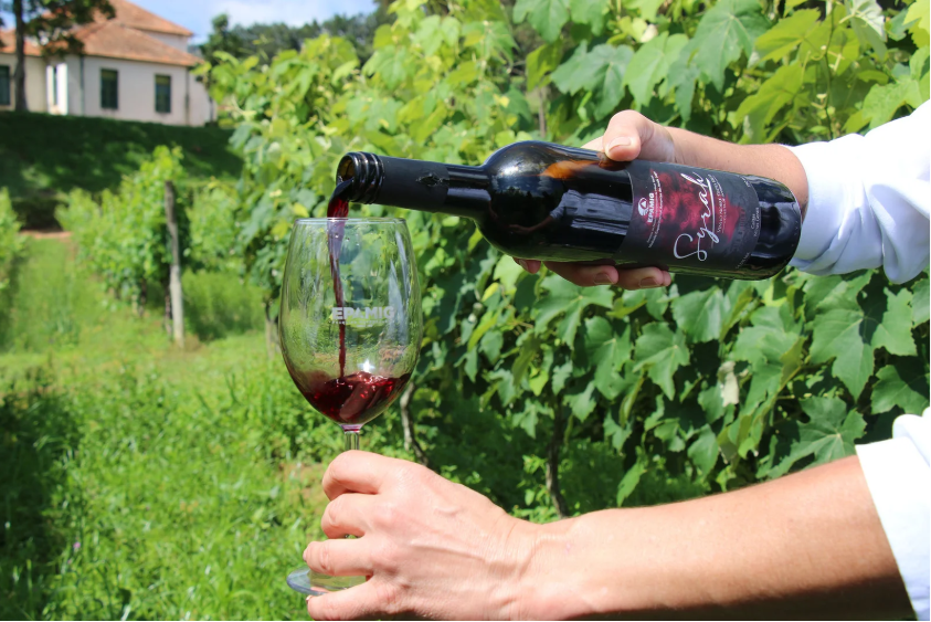Vinhos de colheita de inverno de Minas Gerais são destaque em concurso internacional