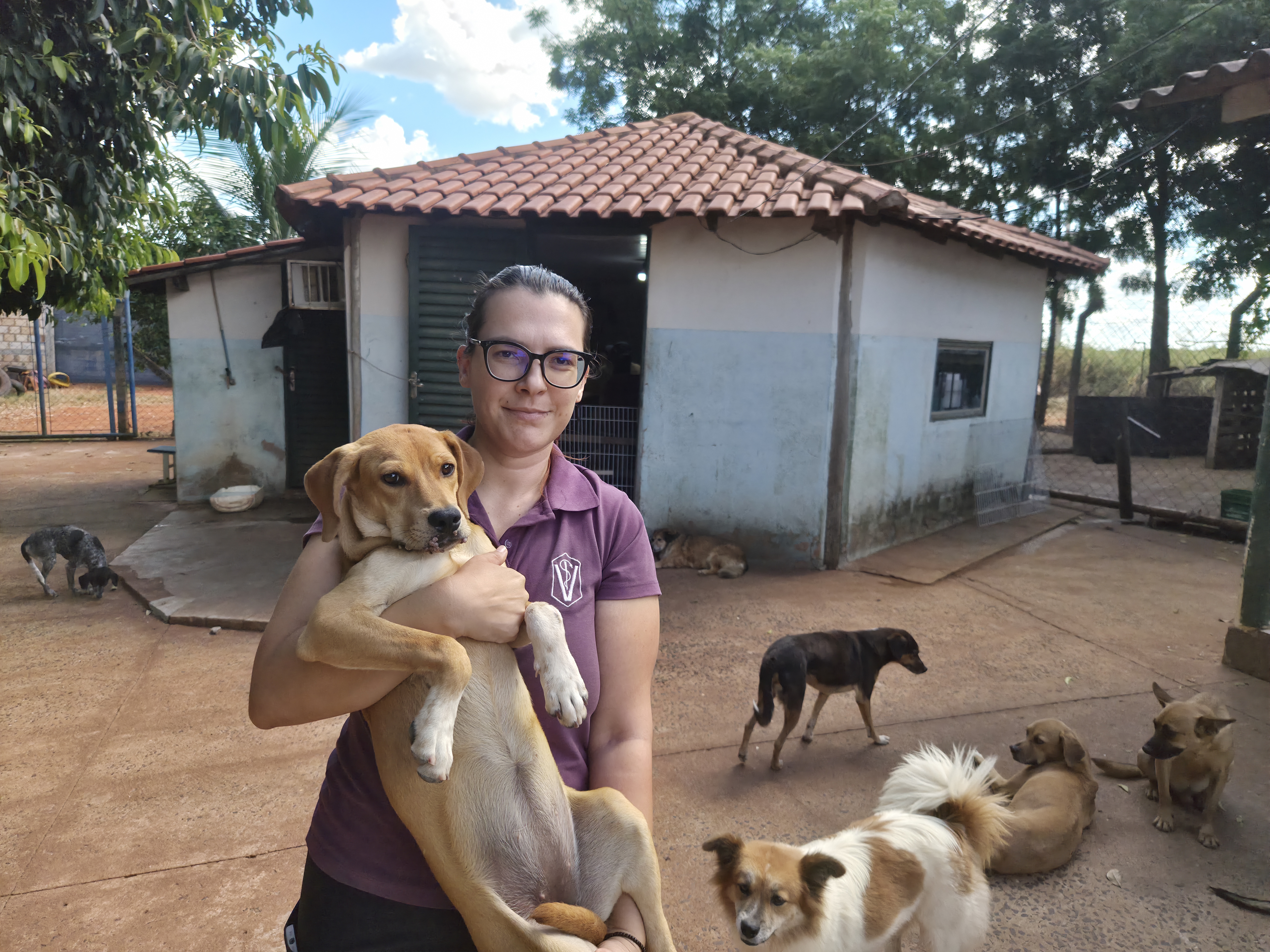 Feira de adoção dá novo lar a cães abandonados de Iturama