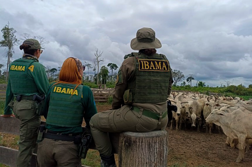 Ibama oferece desconto de até 50% para quitar dívidas atrasadas
